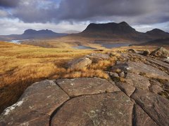 Scottish Highlands Conservation