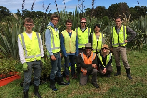 Conservation Volunteering in New Zealand 