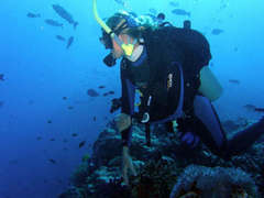 Madagascar Diving & Marine Conservation Placements from £250