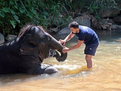 The Elephant Freedom Project in Sri Lanka