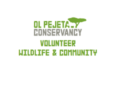 Wildlife & Community Volunteer, Kenya