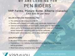 We Are Looking For Pen Riders