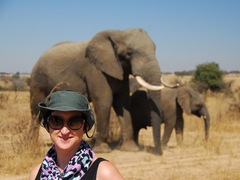 Rhino and Elephant Conservation