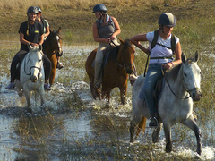 Horse Riding and Rhino Conservation