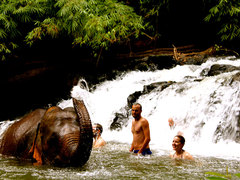2 Day Elephant Sanctuary & Jungle Trek Tour, Cambodia