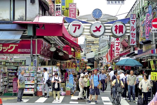 Top 10 Tips For Studying in Japan