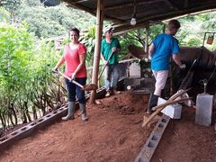 Volunteer in Costa Rica with School Renovation Program - from just $57 per day!