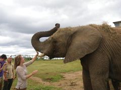 Volunteer in South Africa with Environmental Conservation - from just $23 per day!