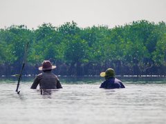 Mangrove Conservation Project in Kampot, Cambodia