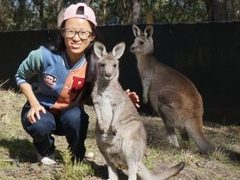 Wild Animal Rescue in Australia