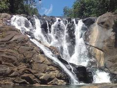 Sinharaja Rainforest Tours + Eco Lodge, Sri Lanka