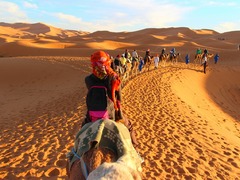 Essential Words & Phrases to Know Before Visiting Morocco
