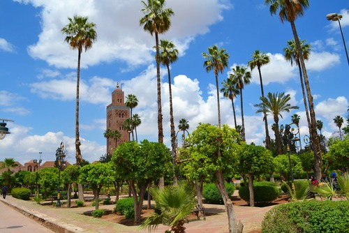 Should You Volunteer in Morocco with IVHQ?