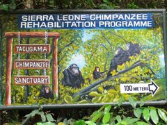 Ecotourism and Marketing Internship, Sierra Leone