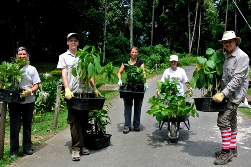 Wildlife conservation volunteering in Borneo