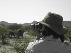 Elephant conservation and building in Namibia