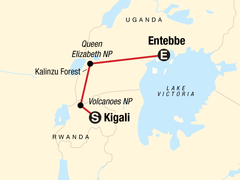 Rwanda & Uganda Gorilla Discovery