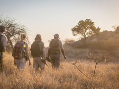 Field Guide Level 1 Course in Southern Africa