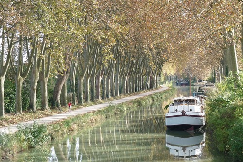 Best Places to Visit While Cruising on the Canal du Midi