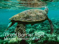 Great Barrier Reef Marine Conservation 