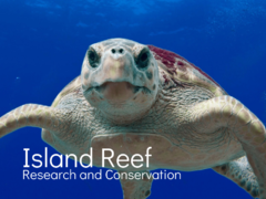 Island Reef Research and Conservation 