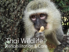 Thai Wildlife Rehabilitation & Care 
