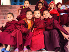 Teach English in a Monastery in Nepal from £300 with PMGY