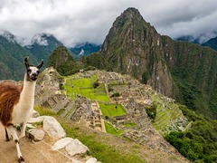 Ultimate Spanish Immersion & Machu Picchu (4 day Trek)