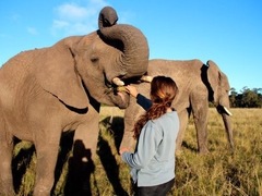 South Africa Travel and Backpacking Guide