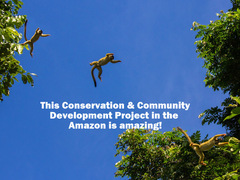 PERU: Hands-on Conservation & Community Development in the Amazon Rainforest