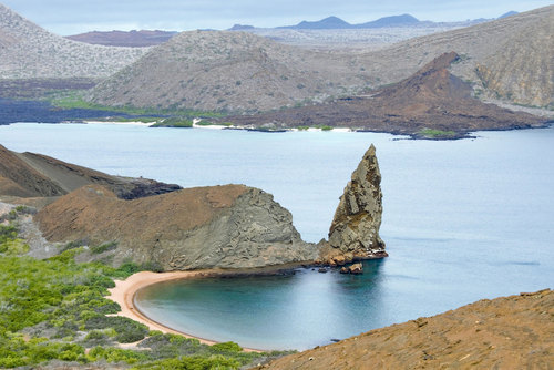 Study Abroad Galapagos  
