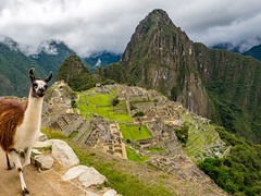 Last Minute Budget Travel Options For Machu Picchu