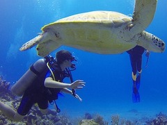 Scuba Diving in Central America
