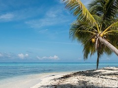 Study Abroad in Belize
