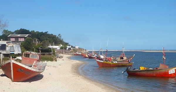 Study Abroad in Uruguay