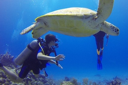Scuba Dive in Indonesia