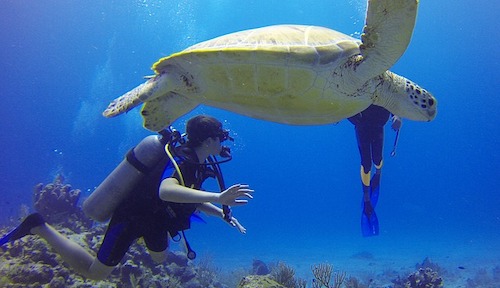 Scuba Dive in Bali