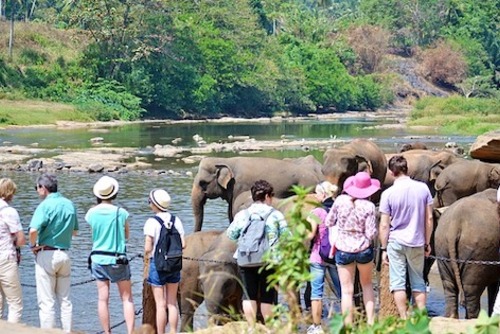 Sri Lanka Travel, Backpacking & Gap Year Guide