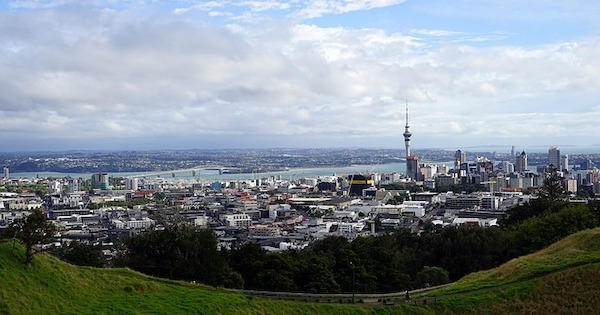 Internships in Auckland