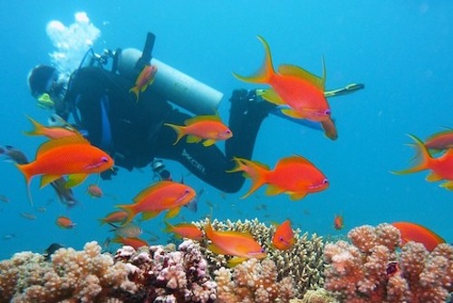 Scuba Diving in Colombia