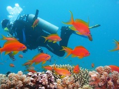 Scuba Diving in Colombia