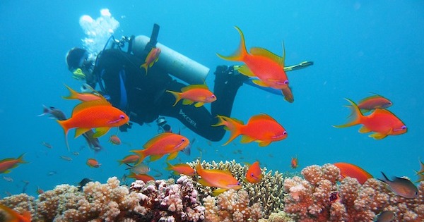 Scuba Diving in Europe & the Mediterranean