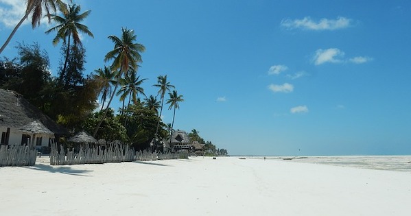 Zanzibar Tours