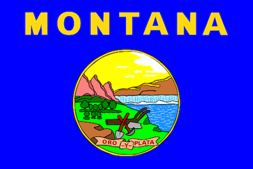 Volunteer in Montana
