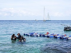 Scuba Diving in the Caribbean