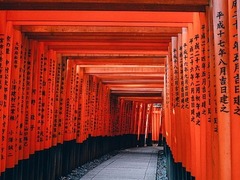 Japan Travel and Backpacking Guide