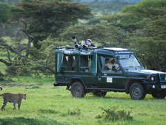 Kenya Photographic Safari
