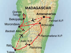 Madagascan Discoverer