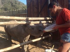 *NEW* Volunteer at South Africa's top rhino sanctuary