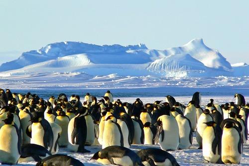 Things to Know Before Visiting Antarctica